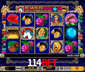 VIP Casino 114Bet