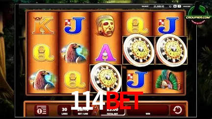 Live Casino 114Bet
